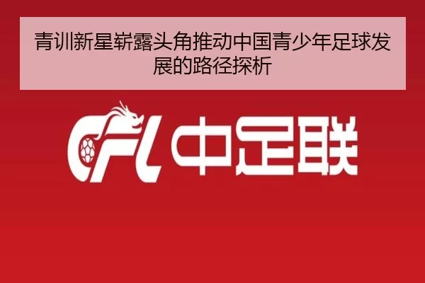 青训新星崭露头角推动中国青少年足球发展的路径探析