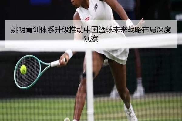 姚明青训体系升级推动中国篮球未来战略布局深度观察
