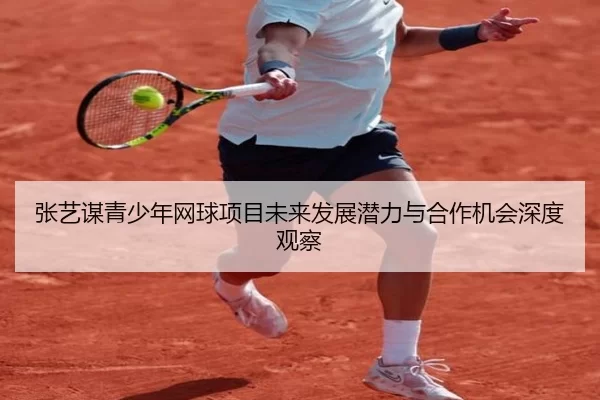 张艺谋青少年网球项目未来发展潜力与合作机会深度观察