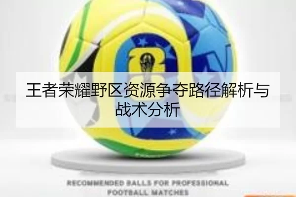 王者荣耀野区资源争夺路径解析与战术分析
